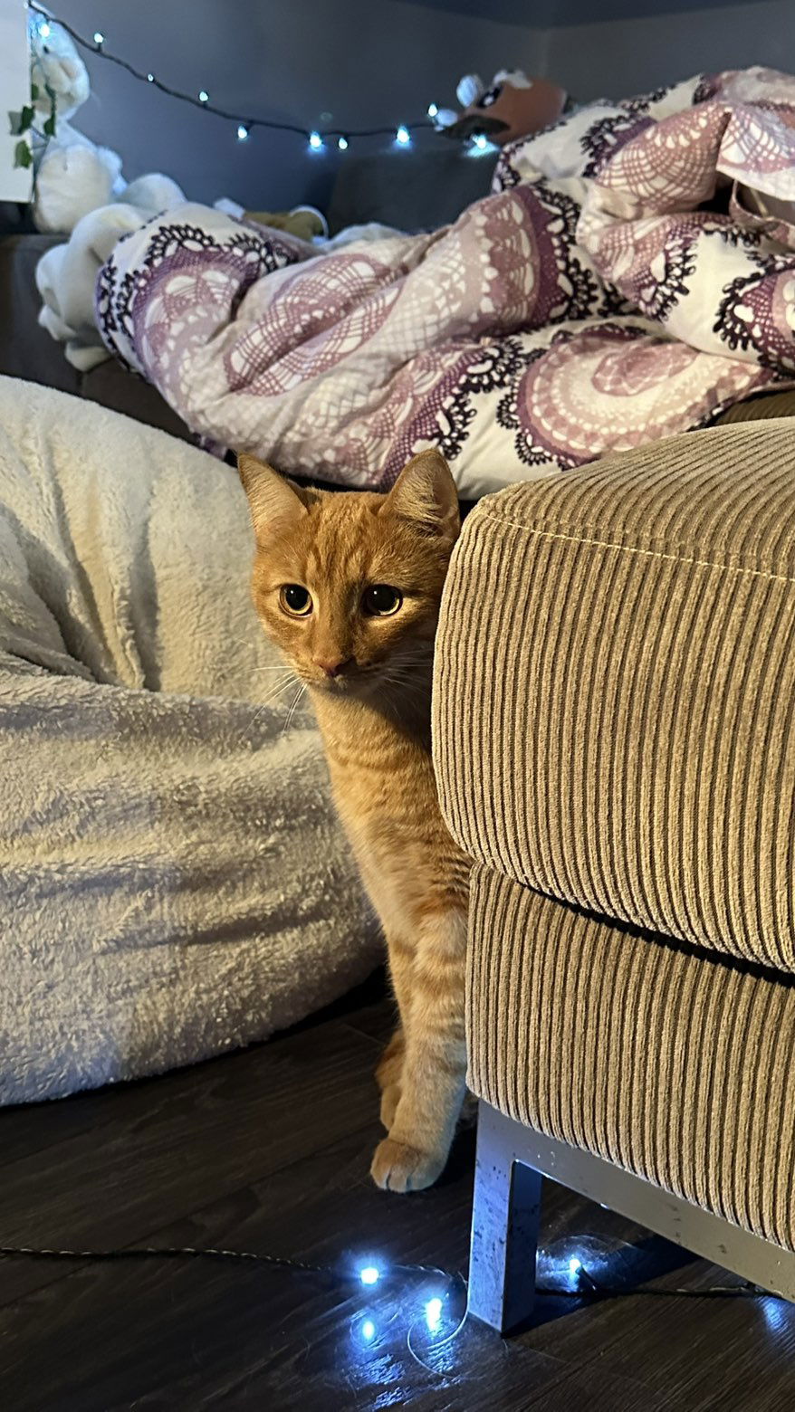 mira.0004 snapchat image archive image