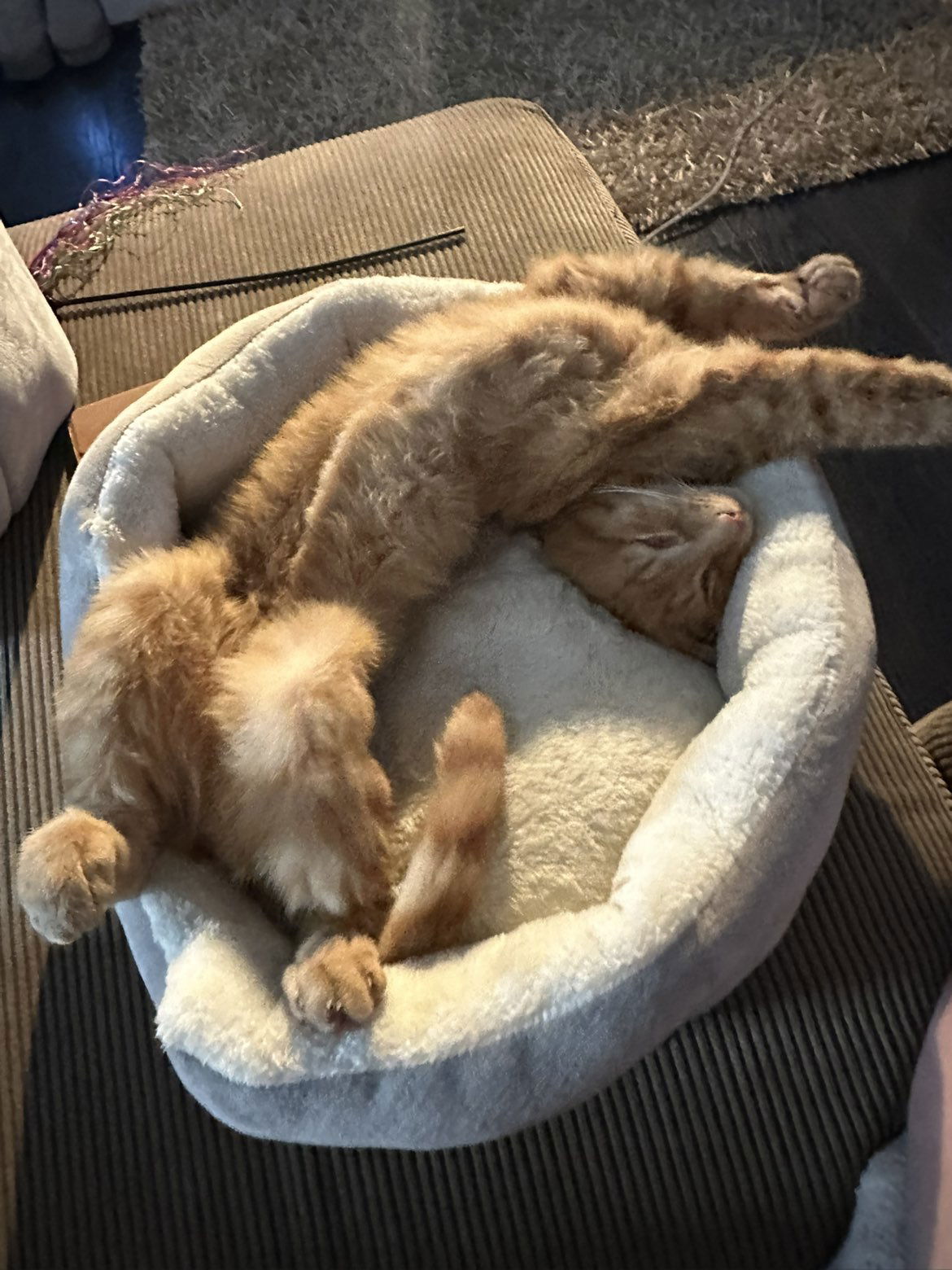 mira.0004 snapchat image archive image