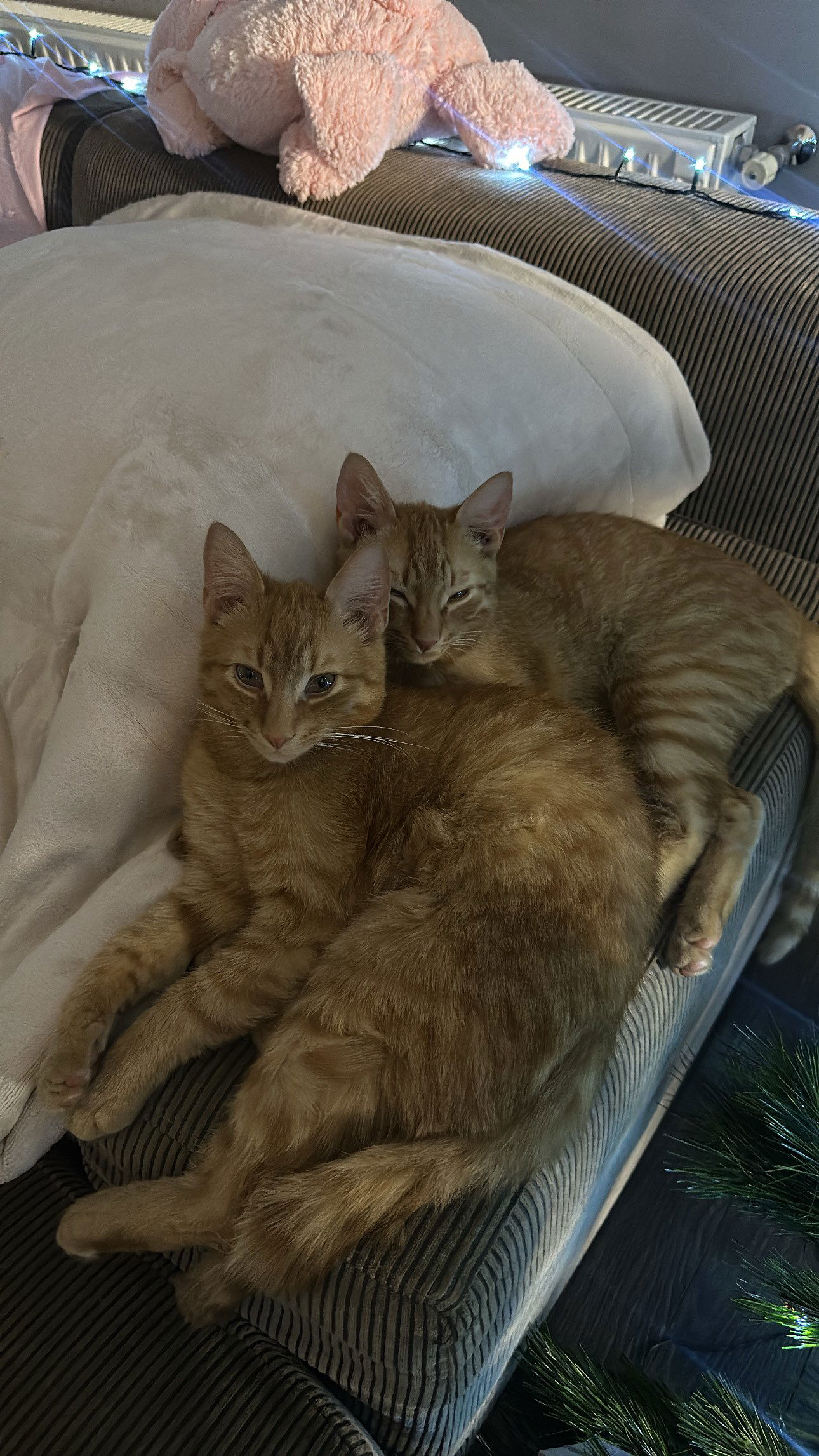 mira.0004 snapchat image archive image