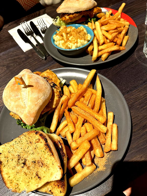 mira.0004 image ~ Altpins