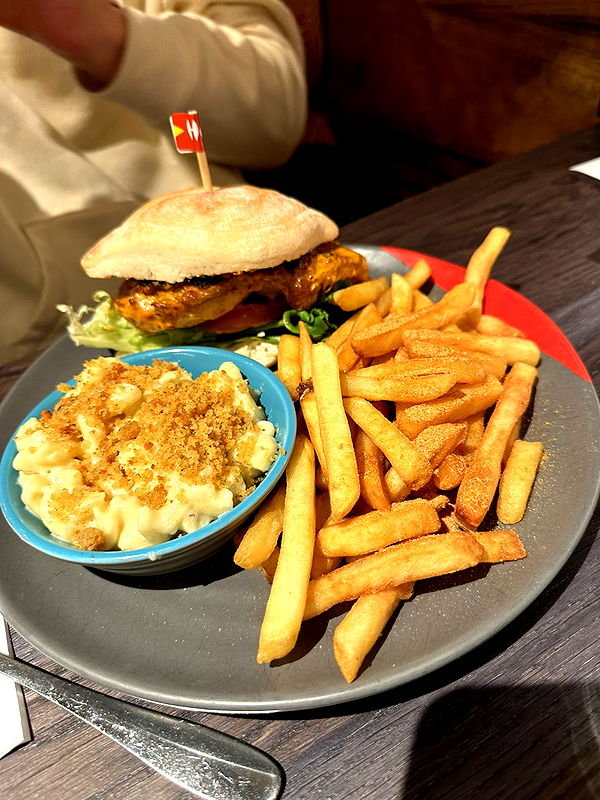 mira.0004 image ~ Altpins