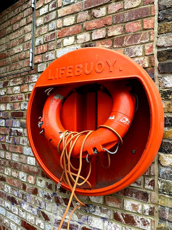 mira.0004 image ~ Altpins