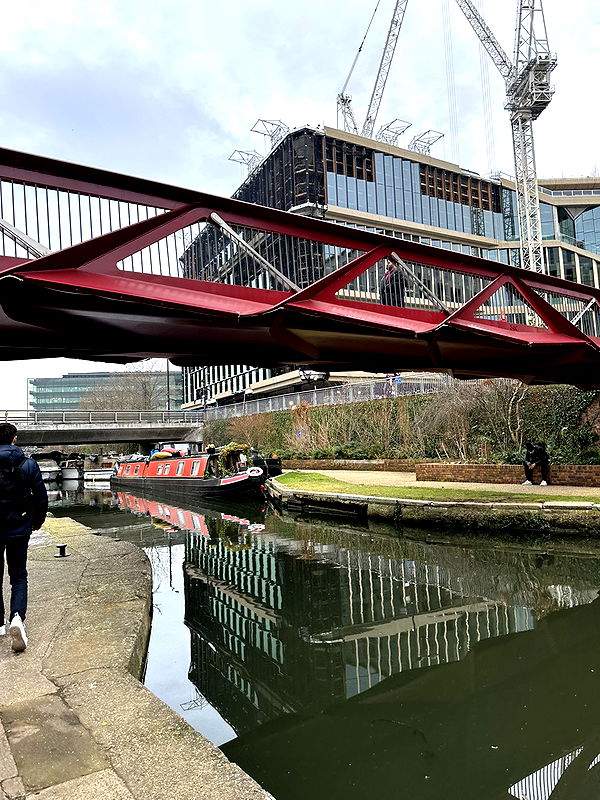 mira.0004 image ~ Altpins