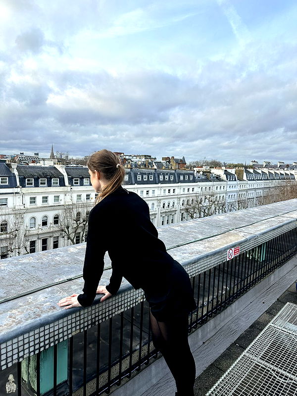 mira.0004 image ~ Altpins