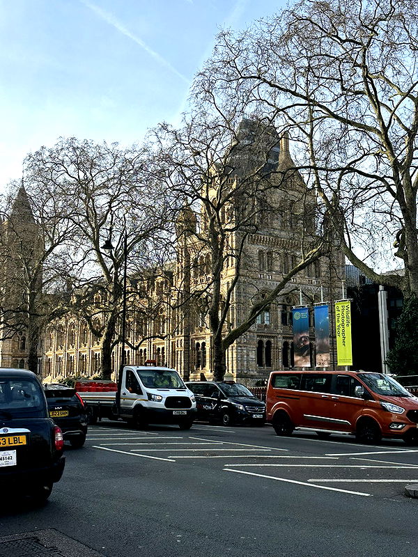 mira.0004 image ~ Altpins