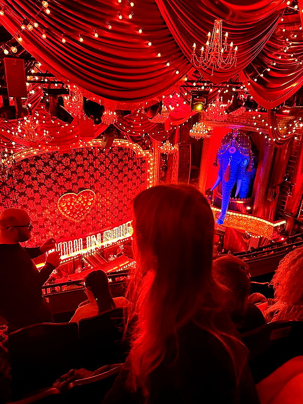 mira.0004 image ~ Altpins