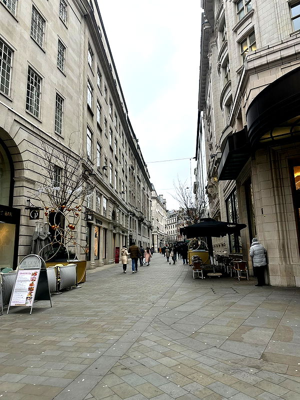 mira.0004 image ~ Altpins