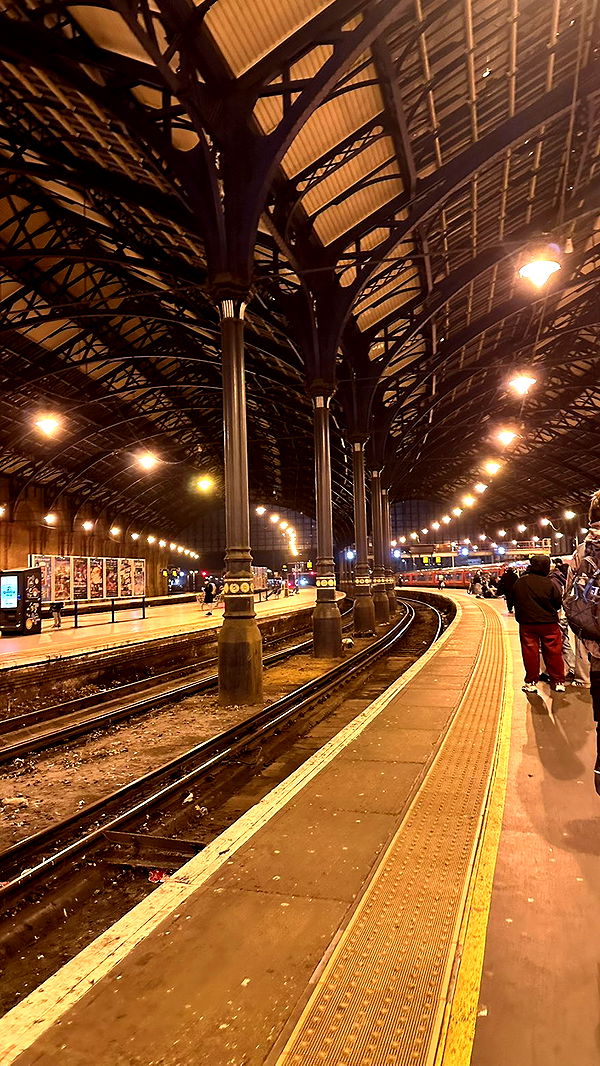 mira.0004 image ~ Altpins