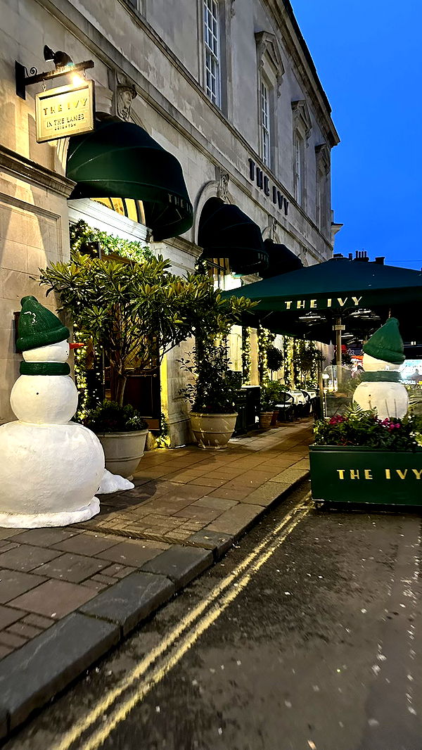 mira.0004 image ~ Altpins