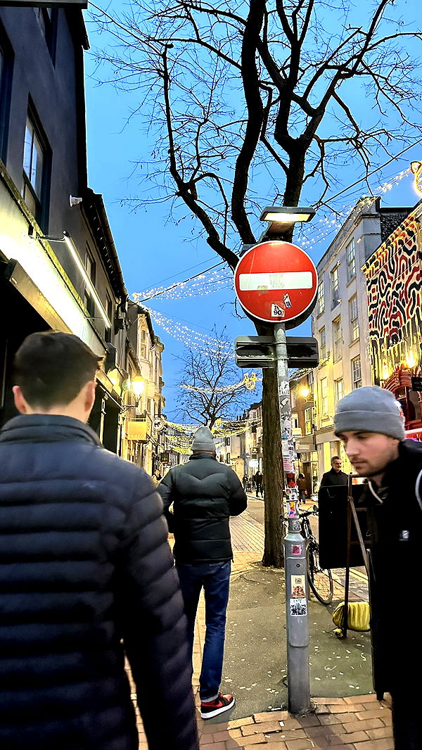 mira.0004 image ~ Altpins