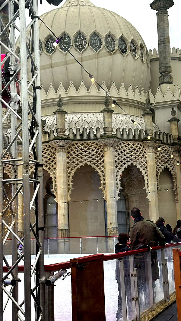 mira.0004 image ~ Altpins