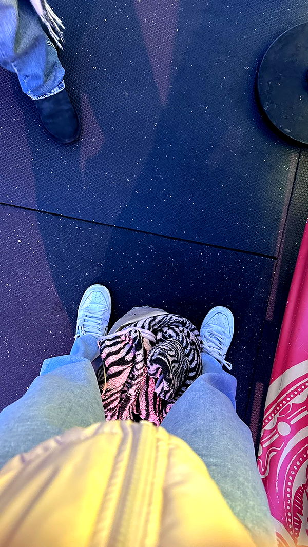 mira.0004 image ~ Altpins