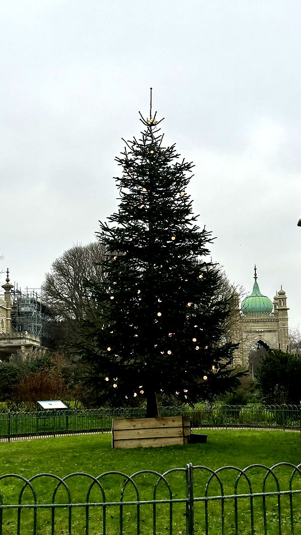 mira.0004 image ~ Altpins