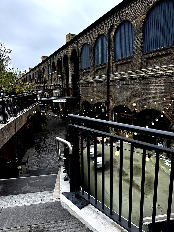 mira.0004 image ~ Altpins