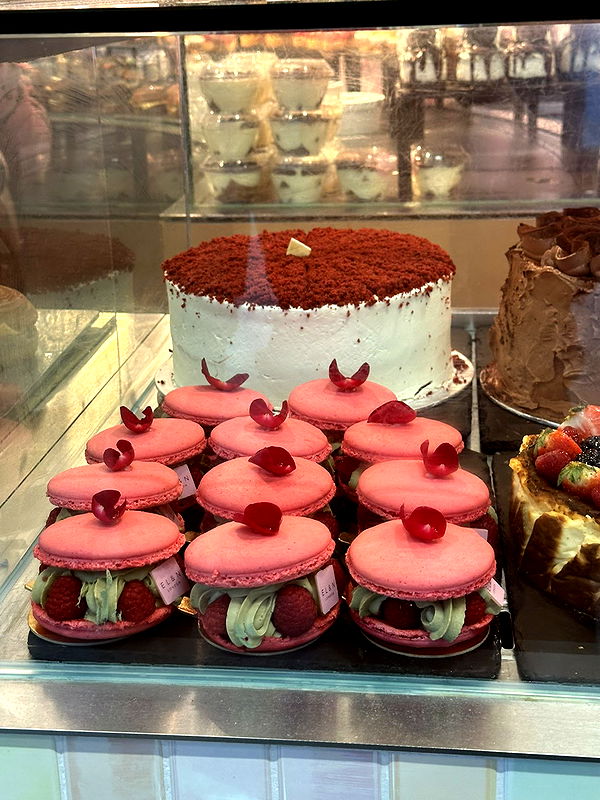 mira.0004 image ~ Altpins