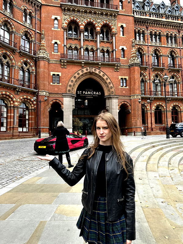 mira.0004 image ~ Altpins