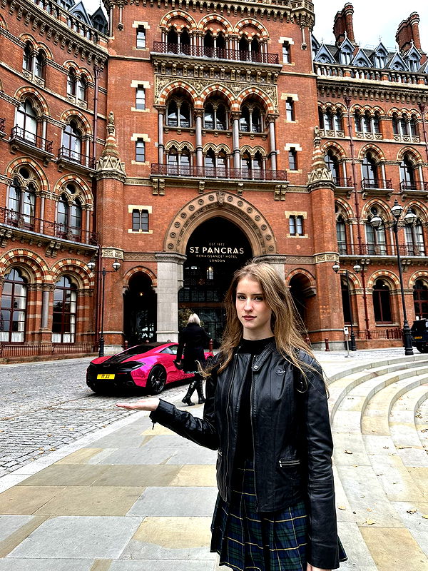 mira.0004 image ~ Altpins