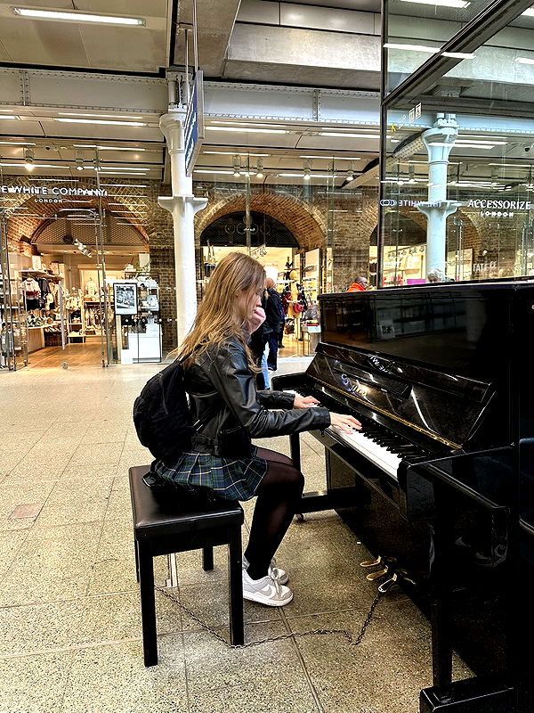 mira.0004 image ~ Altpins