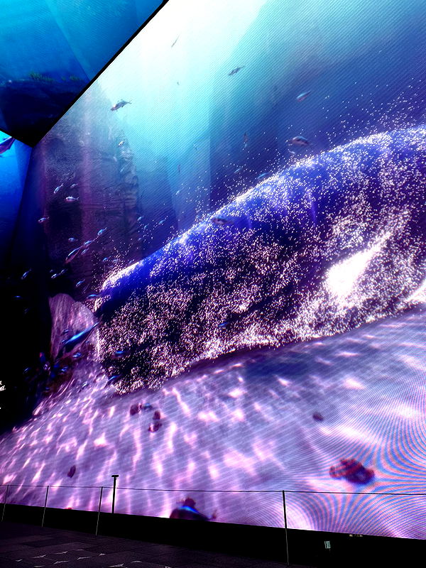 mira.0004 image ~ Altpins