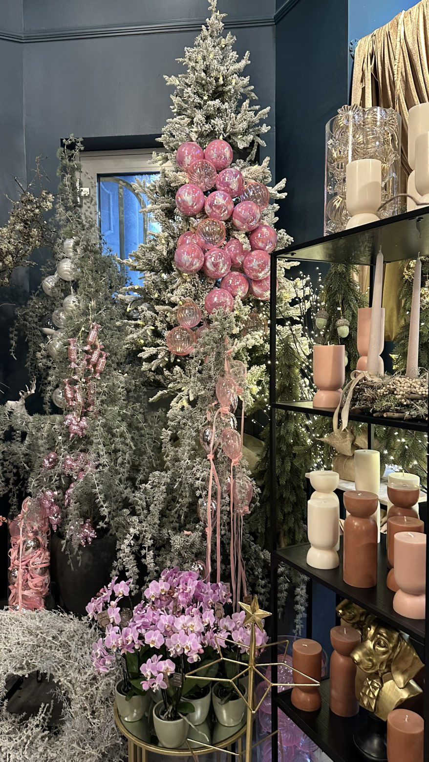 mira.0004 snapchat image archive image