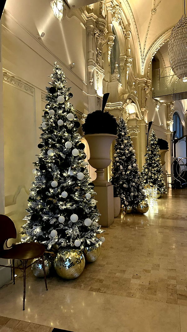 mira.0004 image ~ Altpins