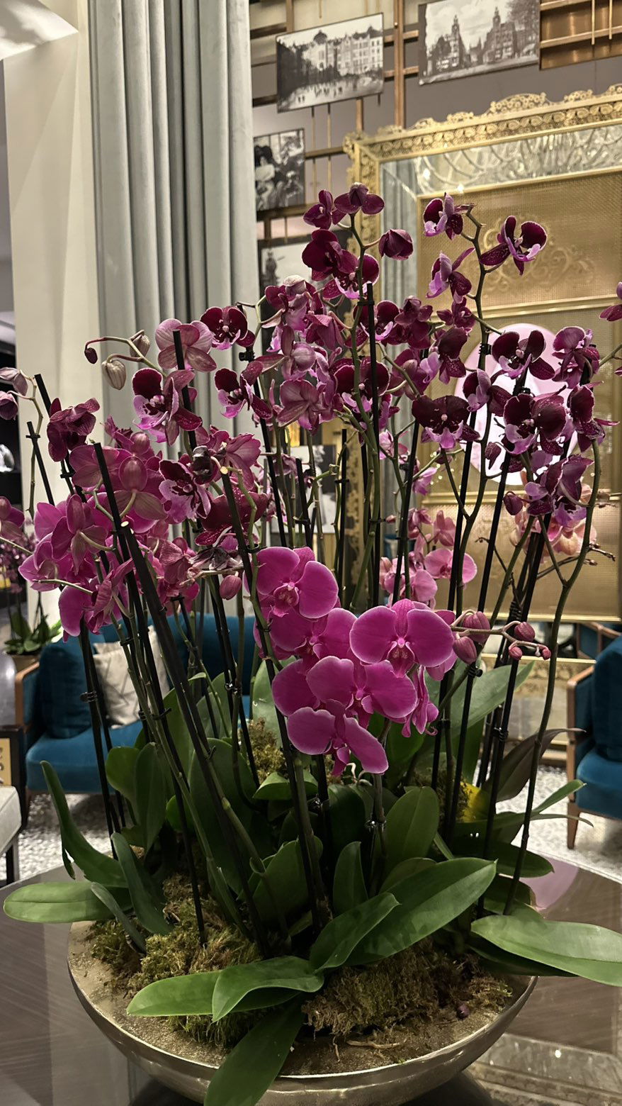 mira.0004 snapchat image archive image