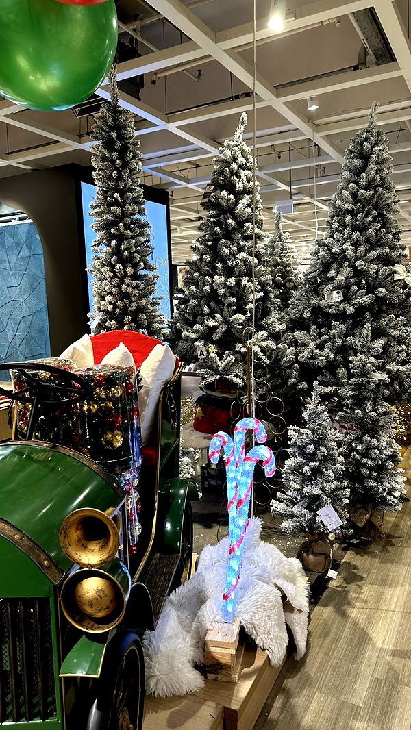 mira.0004 image ~ Altpins