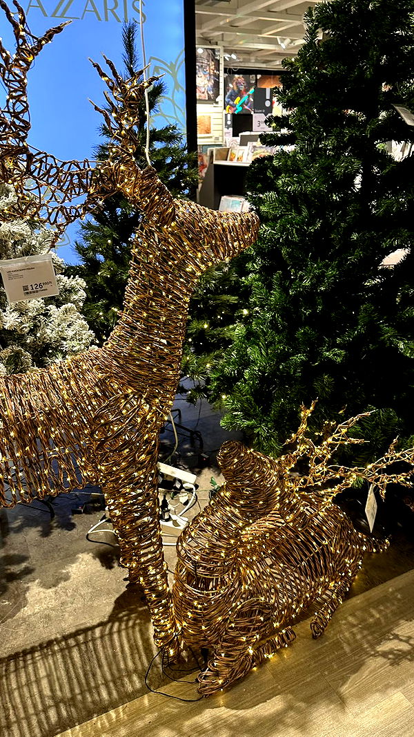 mira.0004 image ~ Altpins