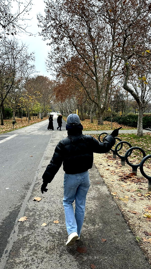 mira.0004 image ~ Altpins