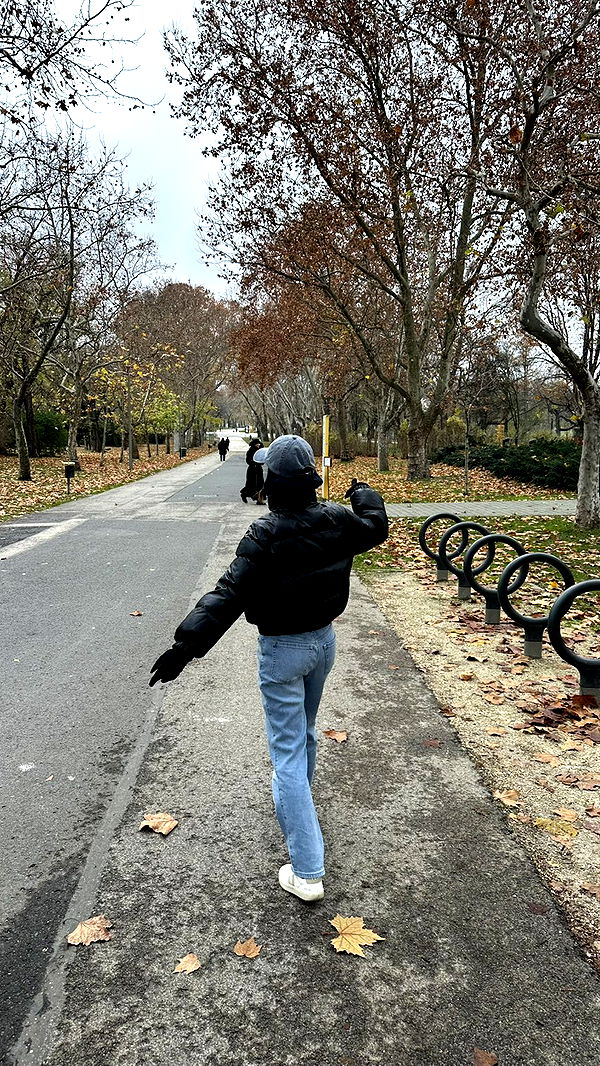 mira.0004 image ~ Altpins