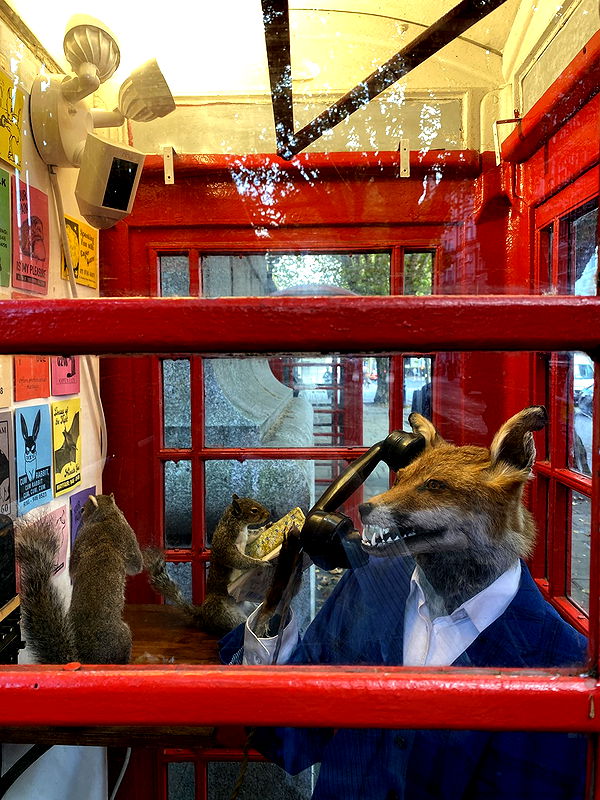 mira.0004 image ~ Altpins