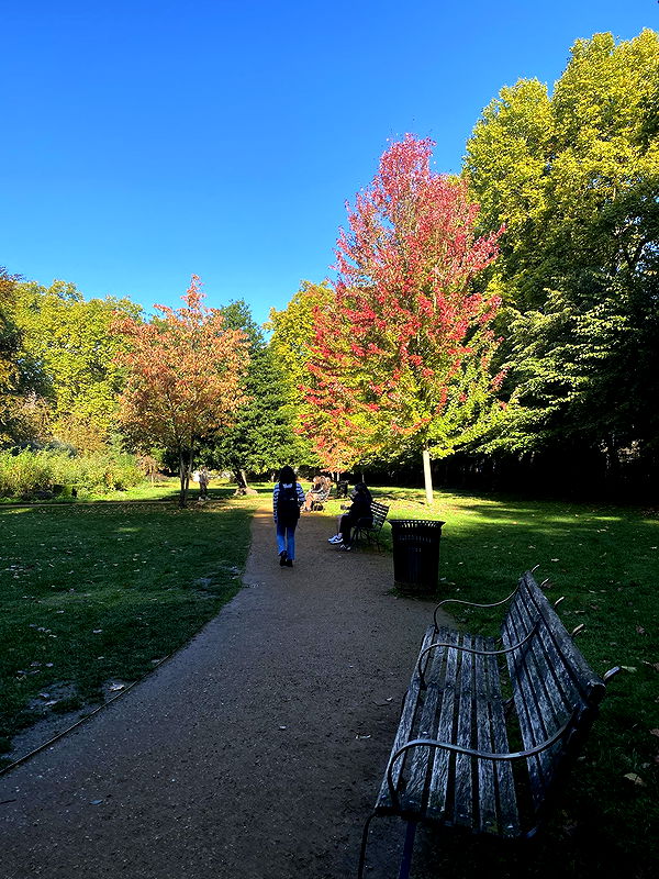 mira.0004 image ~ Altpins