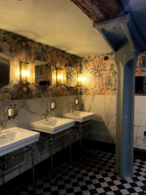 mira.0004 image ~ Altpins