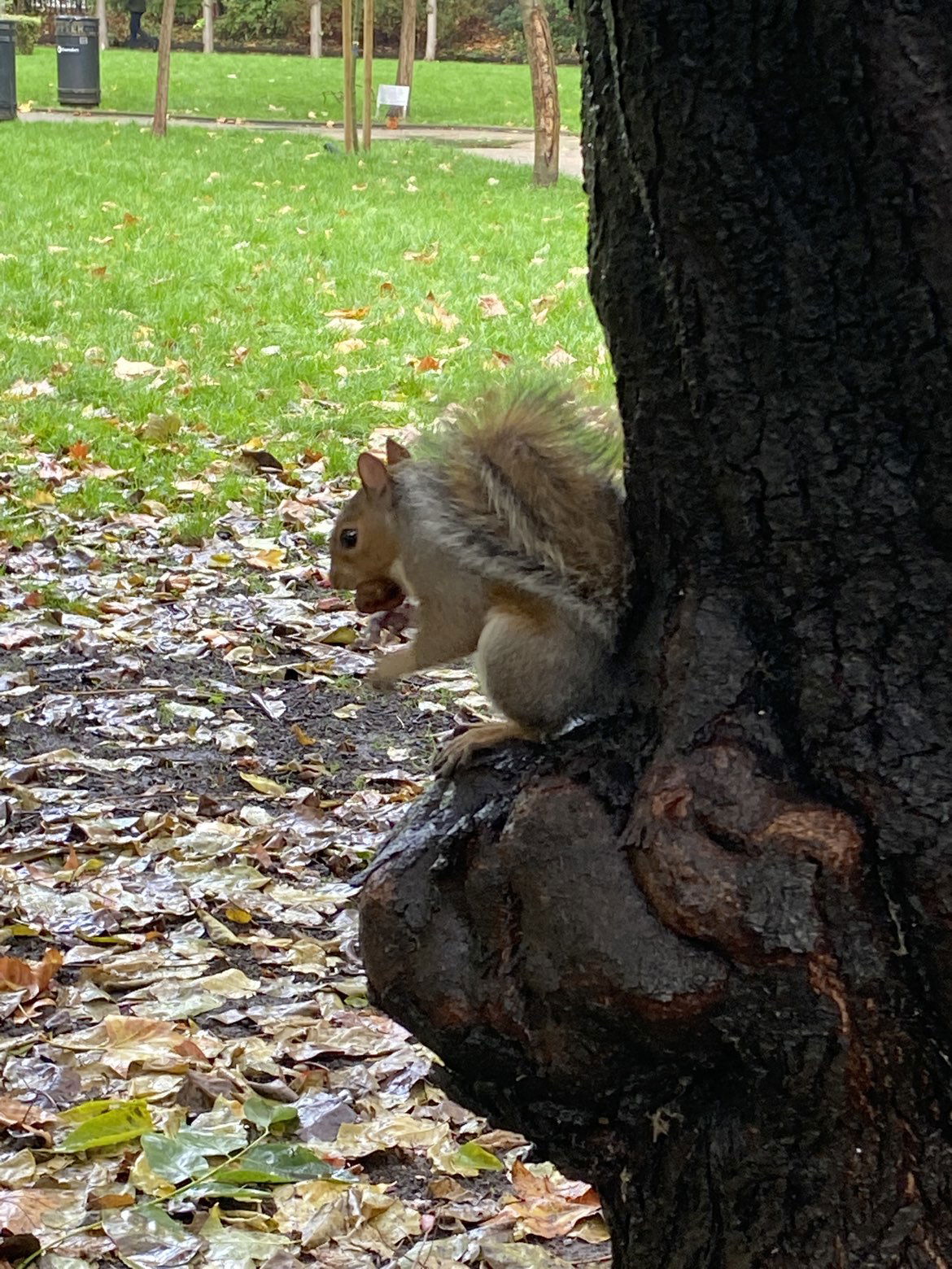 mira.0004 snapchat image archive image