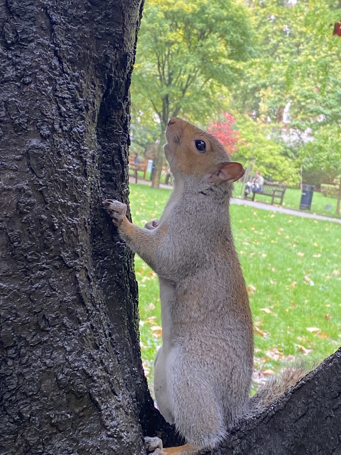 mira.0004 snapchat image archive image