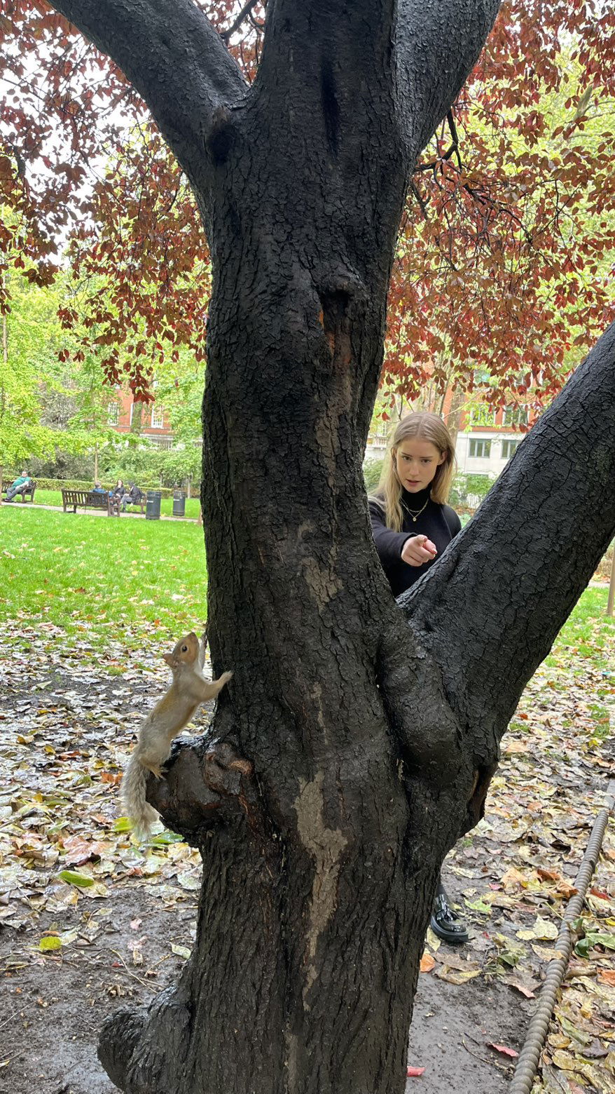 mira.0004 snapchat image archive image