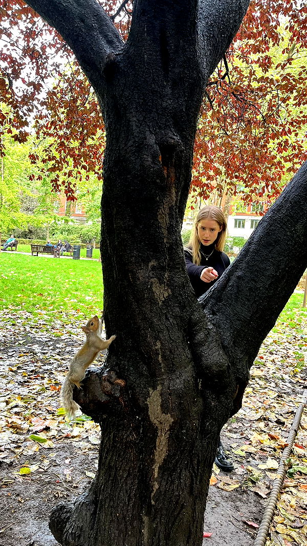 mira.0004 image ~ Altpins