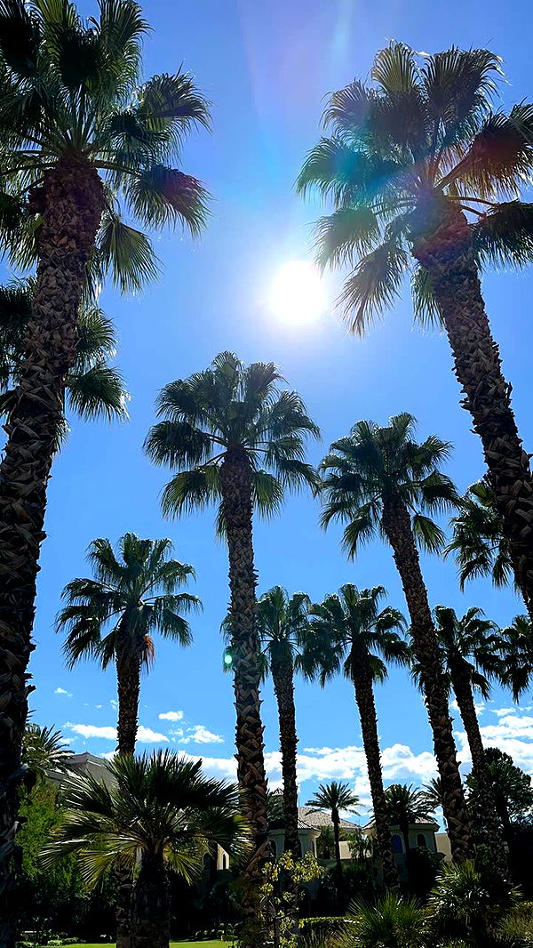 nadia-stone image ~ Altpins