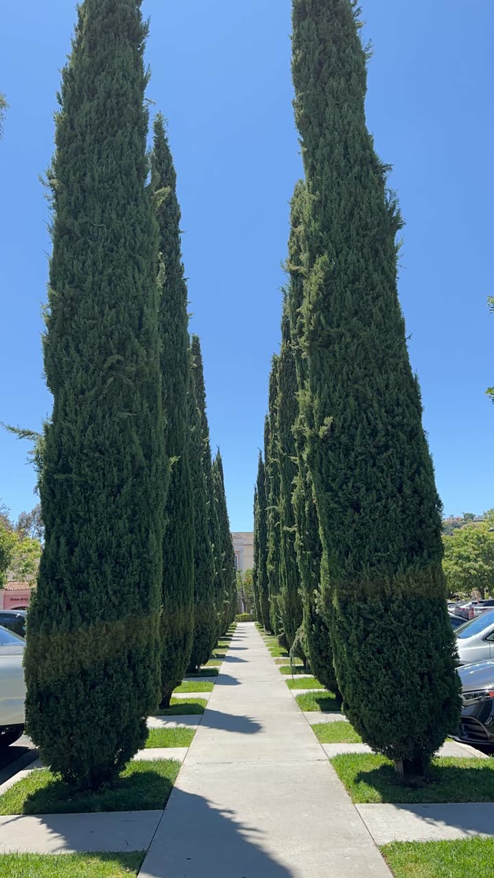 nadia-stone snapchat image archive image