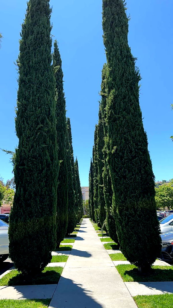 nadia-stone image ~ Altpins