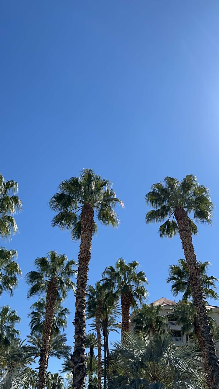 nadia-stone snapchat image archive image