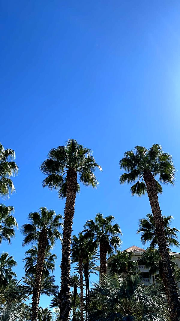 nadia-stone image ~ Altpins