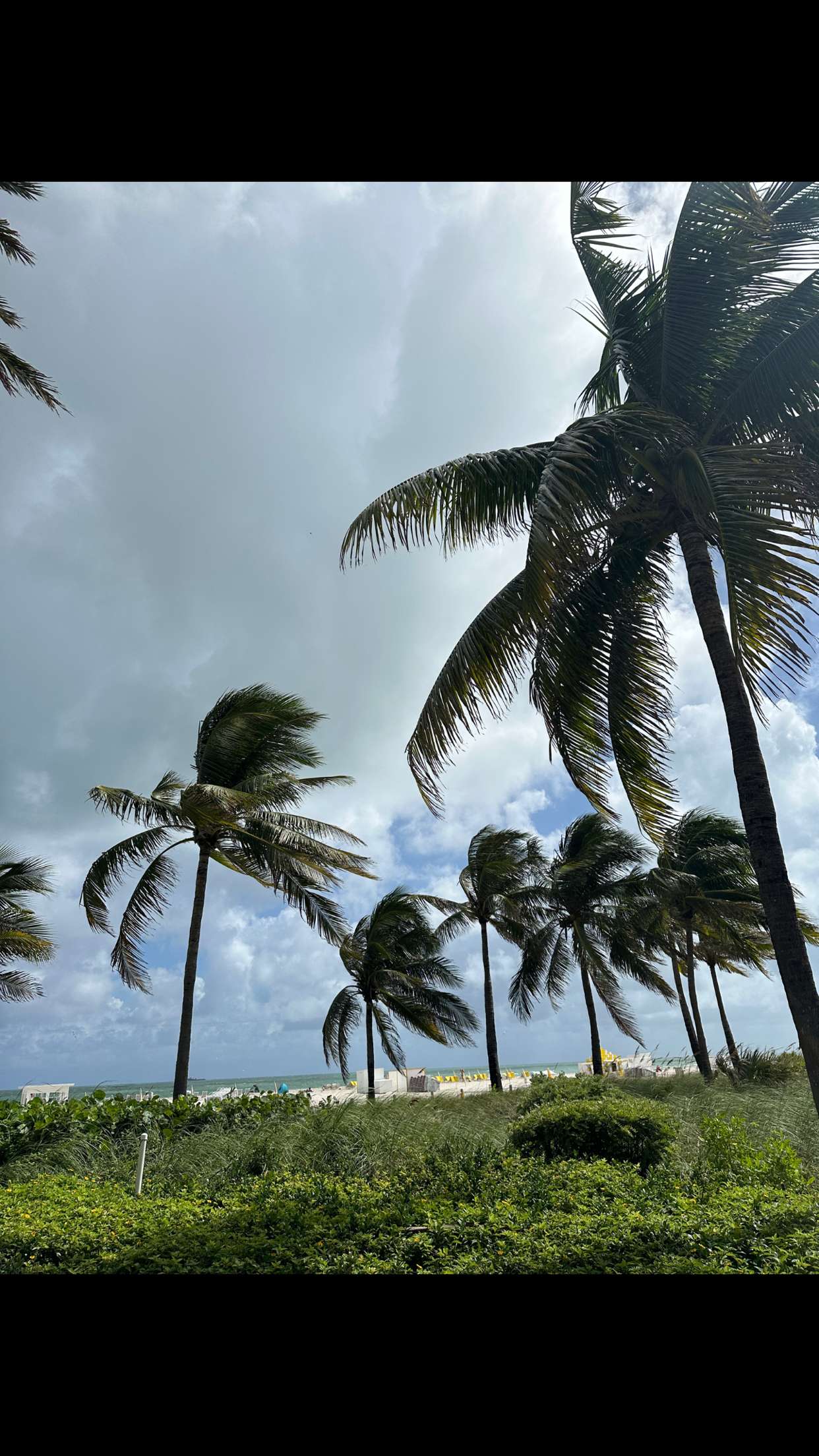 nadia-stone snapchat image archive image