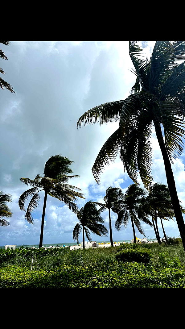 nadia-stone image ~ Altpins