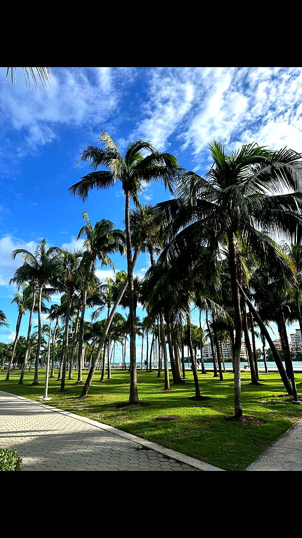 nadia-stone image ~ Altpins