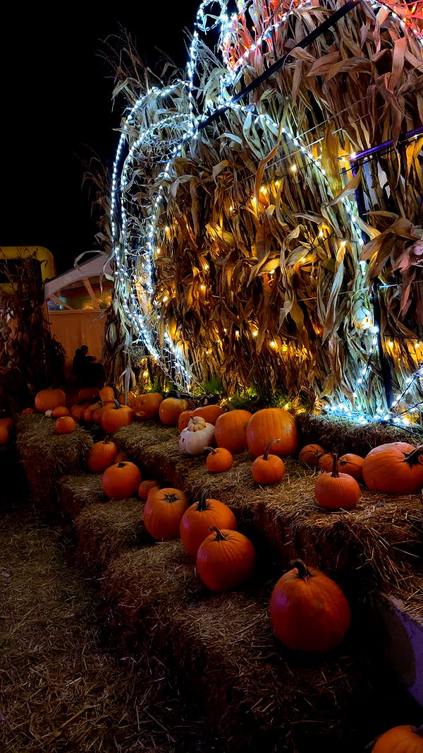 nadia-stone image ~ Altpins