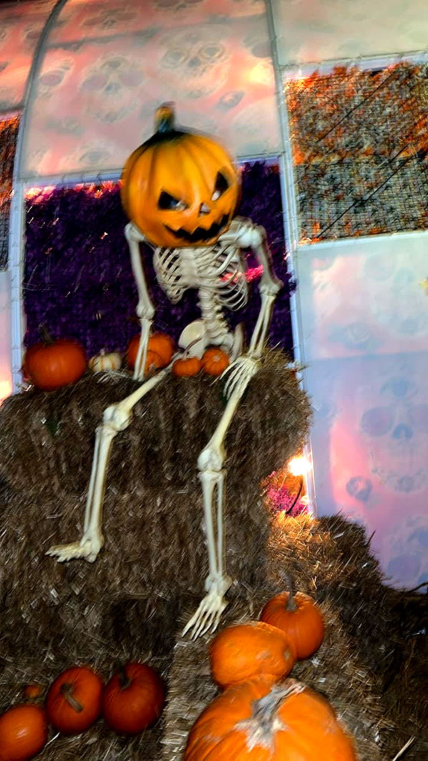 nadia-stone image ~ Altpins