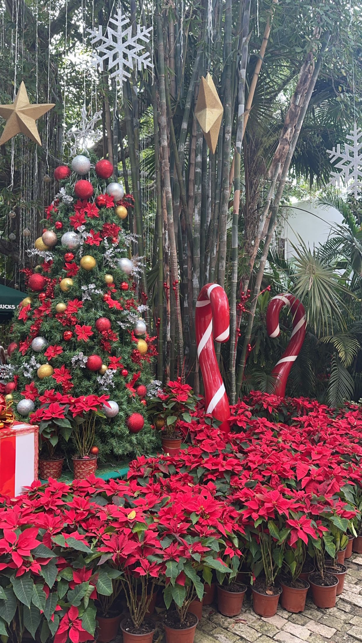 nadia-stone snapchat image archive image