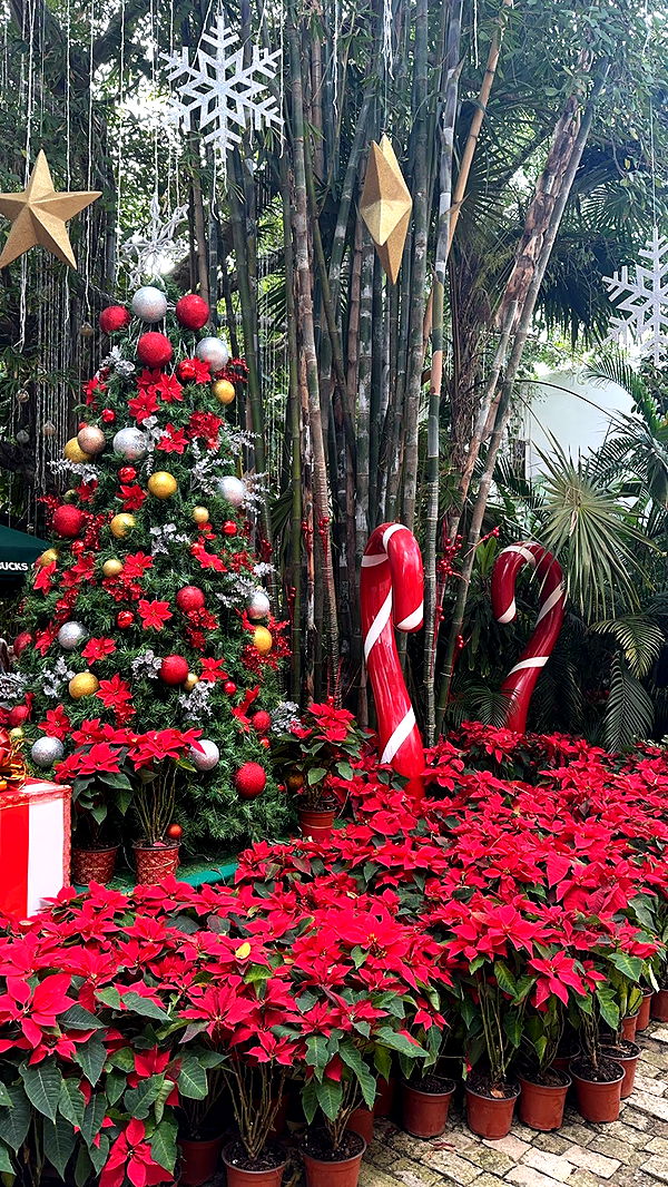 nadia-stone image ~ Altpins