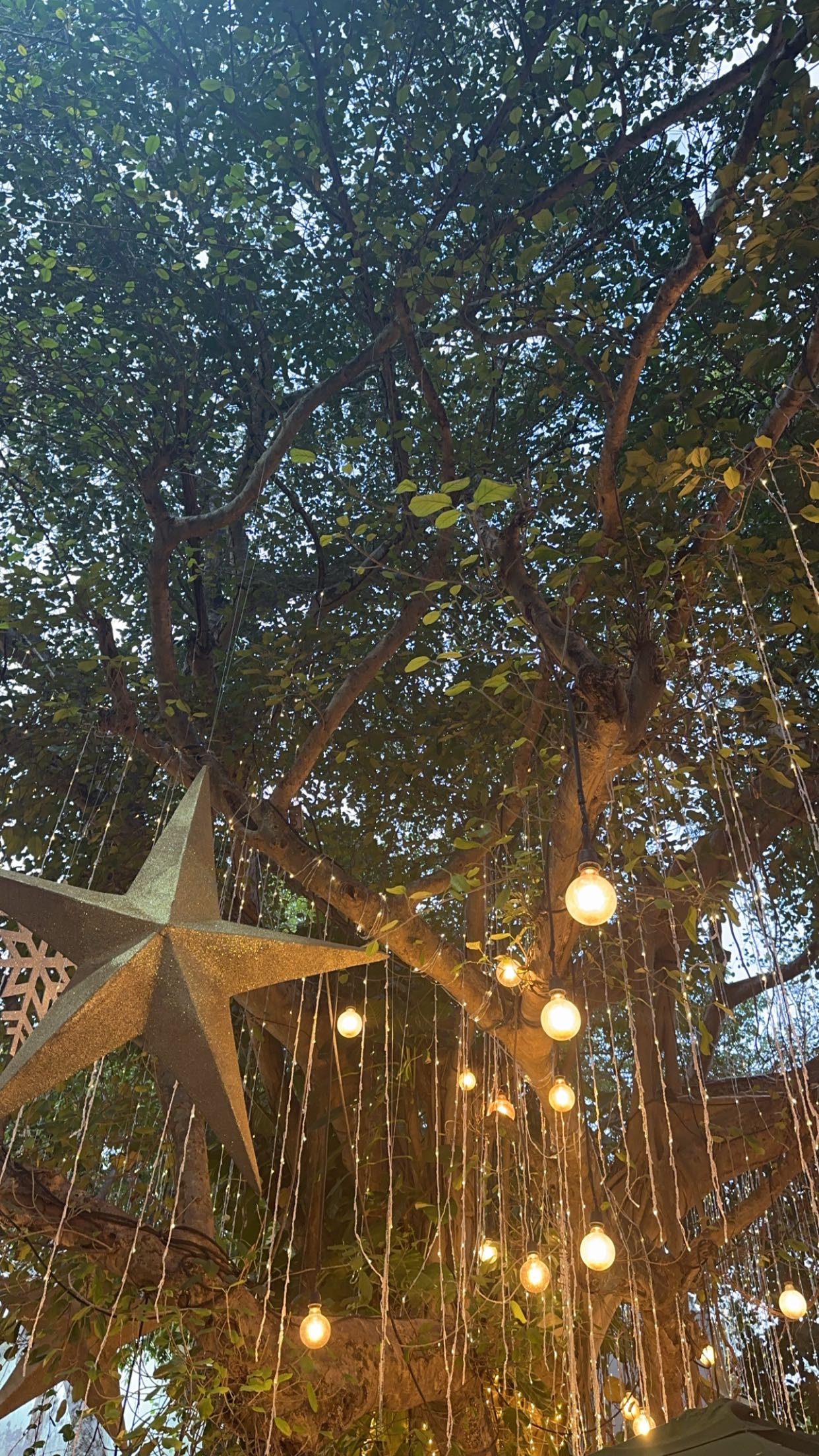 nadia-stone snapchat image archive image